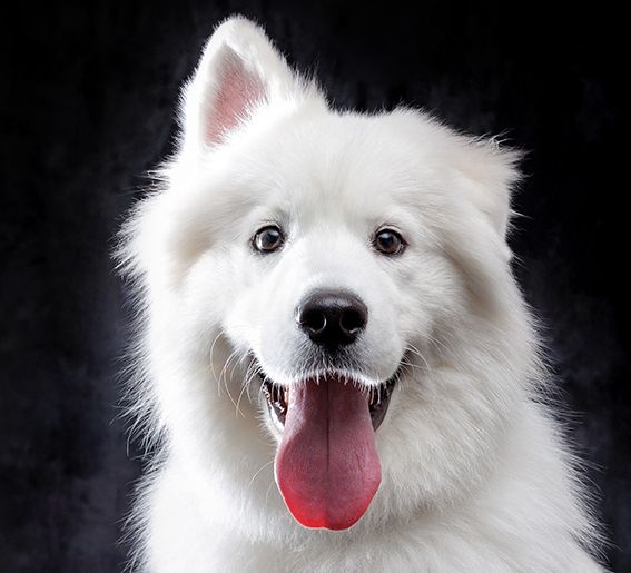 预订（工作日）