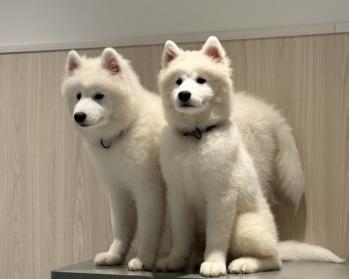  Regular ticket (50 minutes)