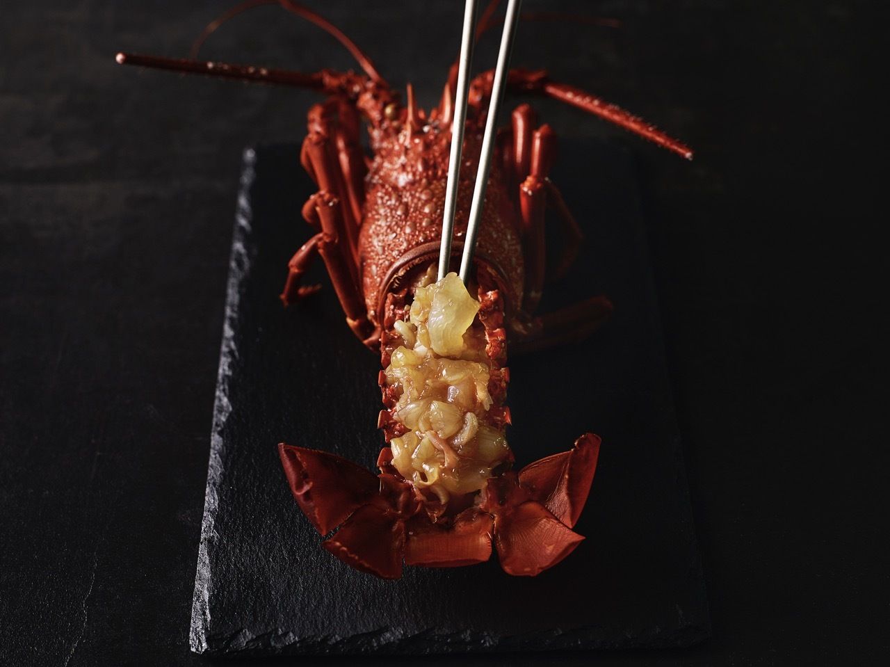 【禅】季節のおまかせコース全13品