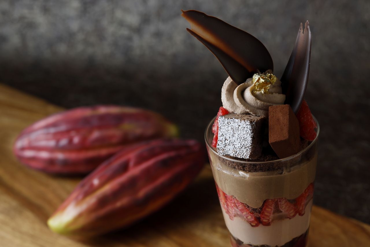 「至福のチョコレートパフェ ～カカオとフランボワーズの余韻～」＜5-6月＞【限定10食】