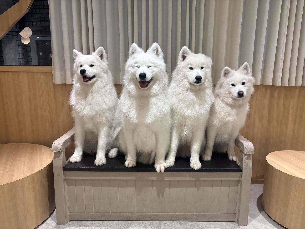 [6 PM slot only] Four Brothers Birthday Event