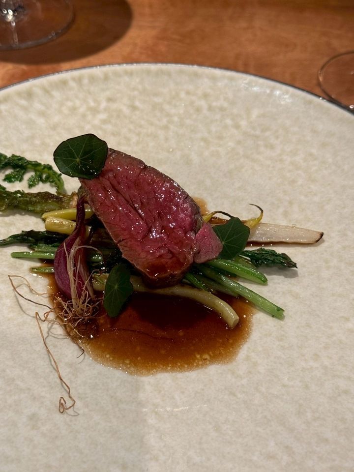 Special course available only during the grand opening [Dinner]