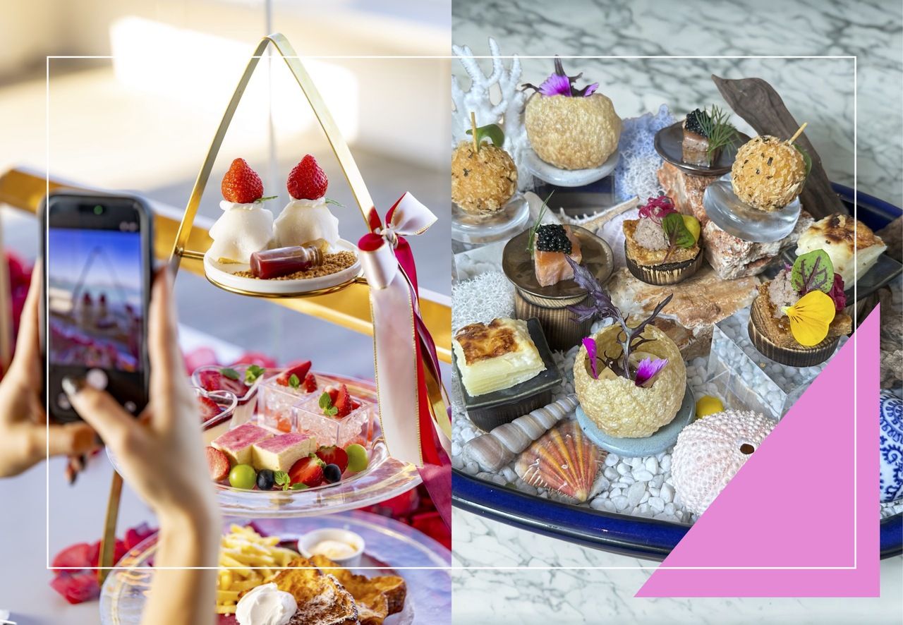 【아프는&5종 전채&피자&90분 프리 플로우 첨부】계약 농원 직송 아마오의 애프터눈 디저트 런치 세트