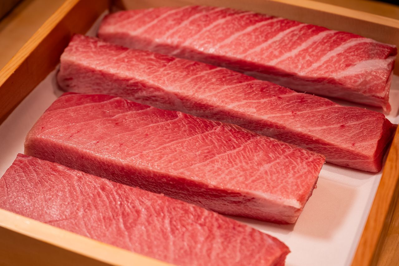 Omakase Nigiri Lunch