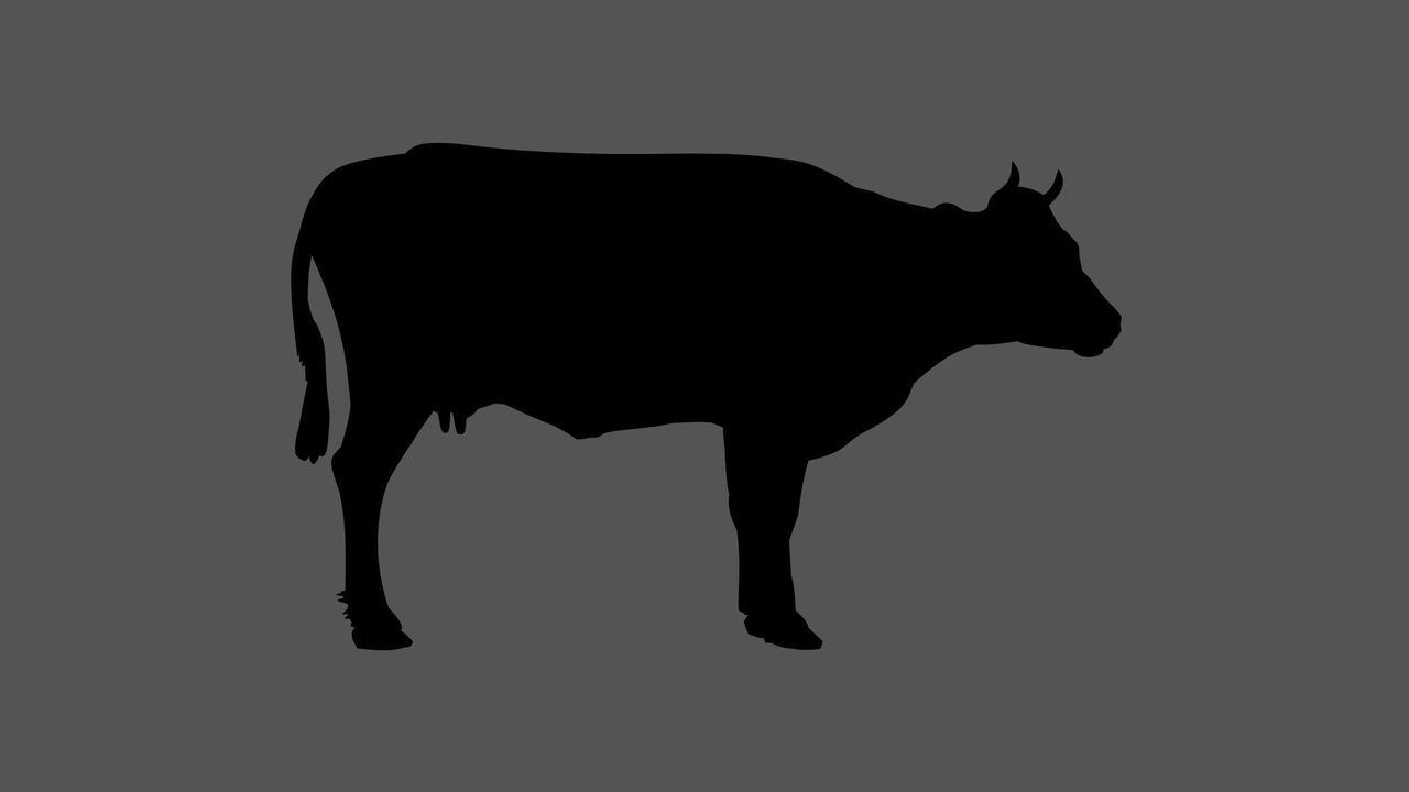 【粋】 お料理のみ