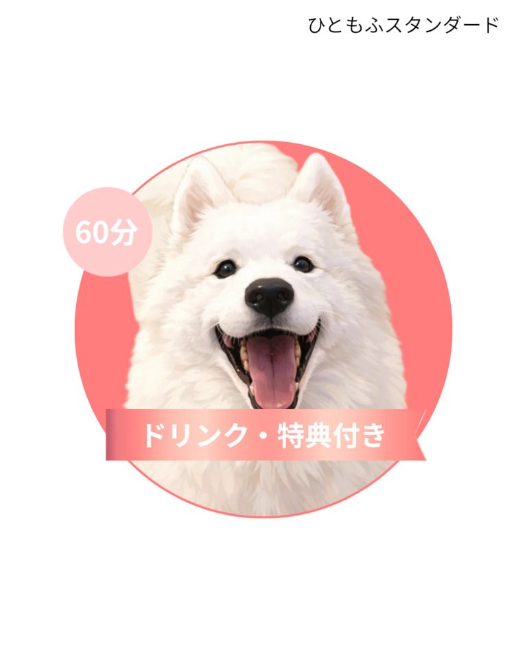 【周六】Hitomofu 标准套餐（60分钟）