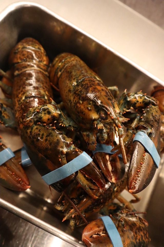 Special course featuring lobster [Limited-time price for June and July] *Reservations must be made by 12:00 PM two days prior.