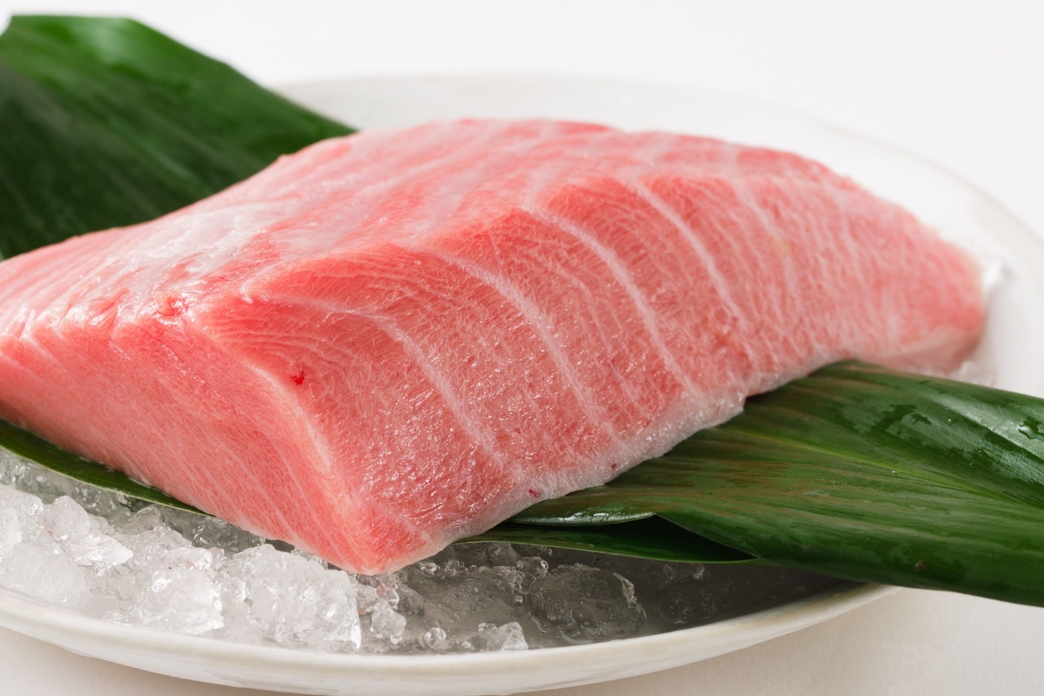 Orenosakanawokuttemiro Nishishinjuku
