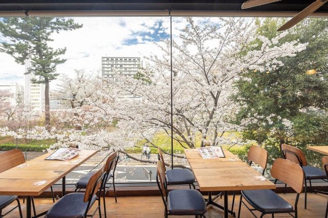 Aloha Table Iidabashi