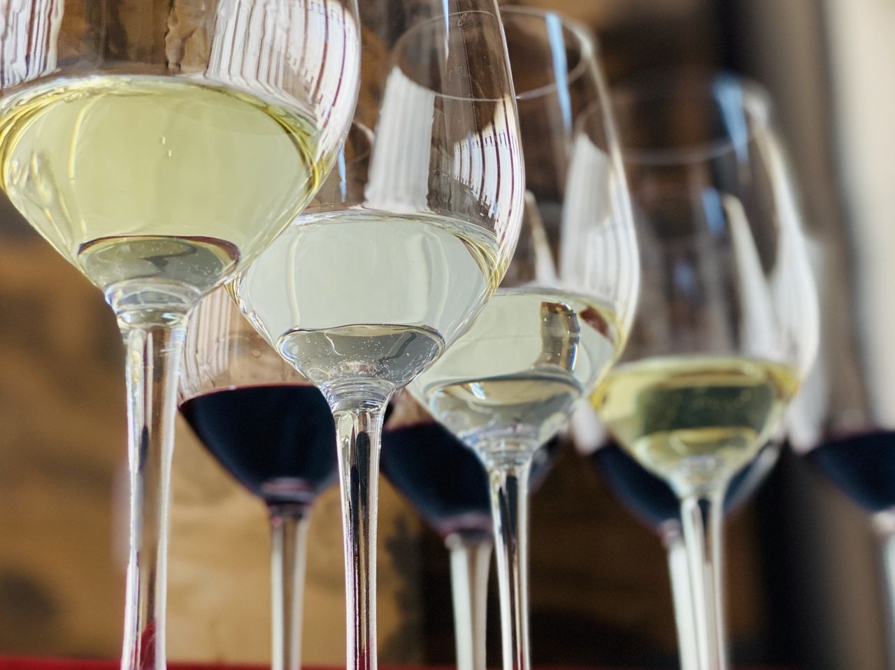 (クリスマス・コース対応)ワインペアリング５種付き