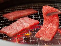 Enjoy the classic [En] course