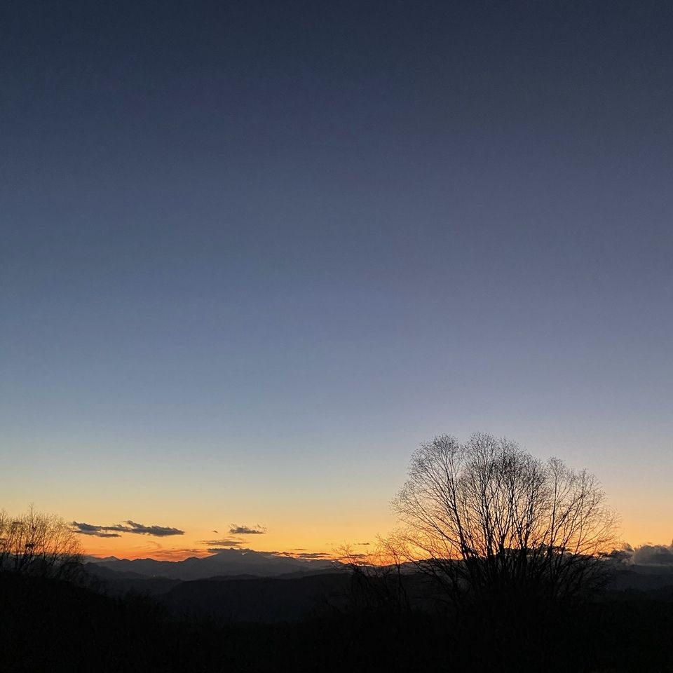 ​【B&B】Bistecca