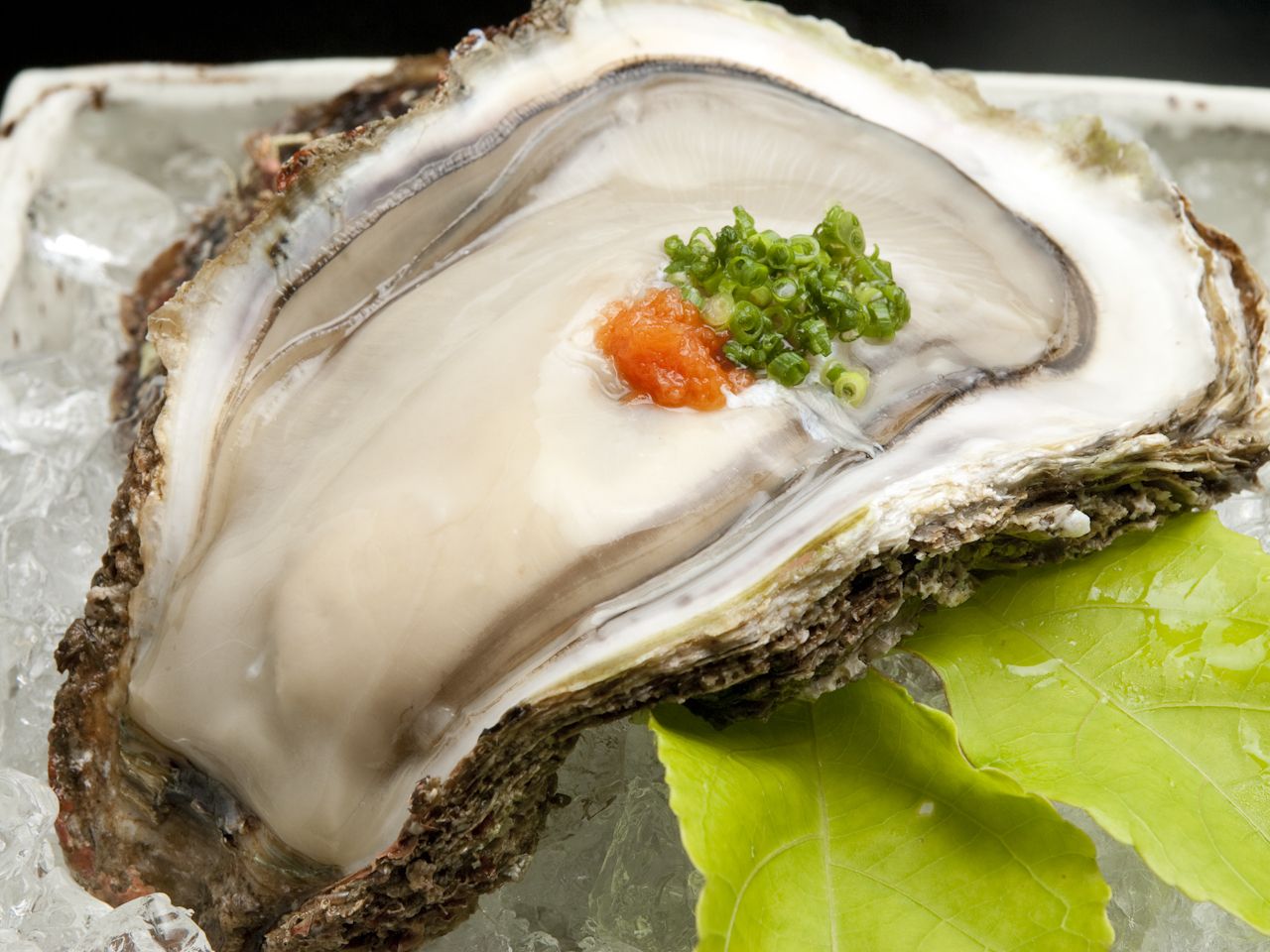 Oyster course