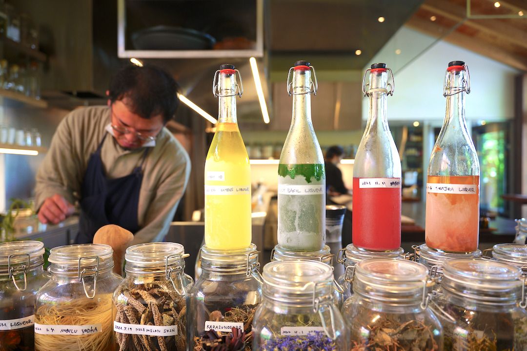 Dinner Course + Drink Free Flow