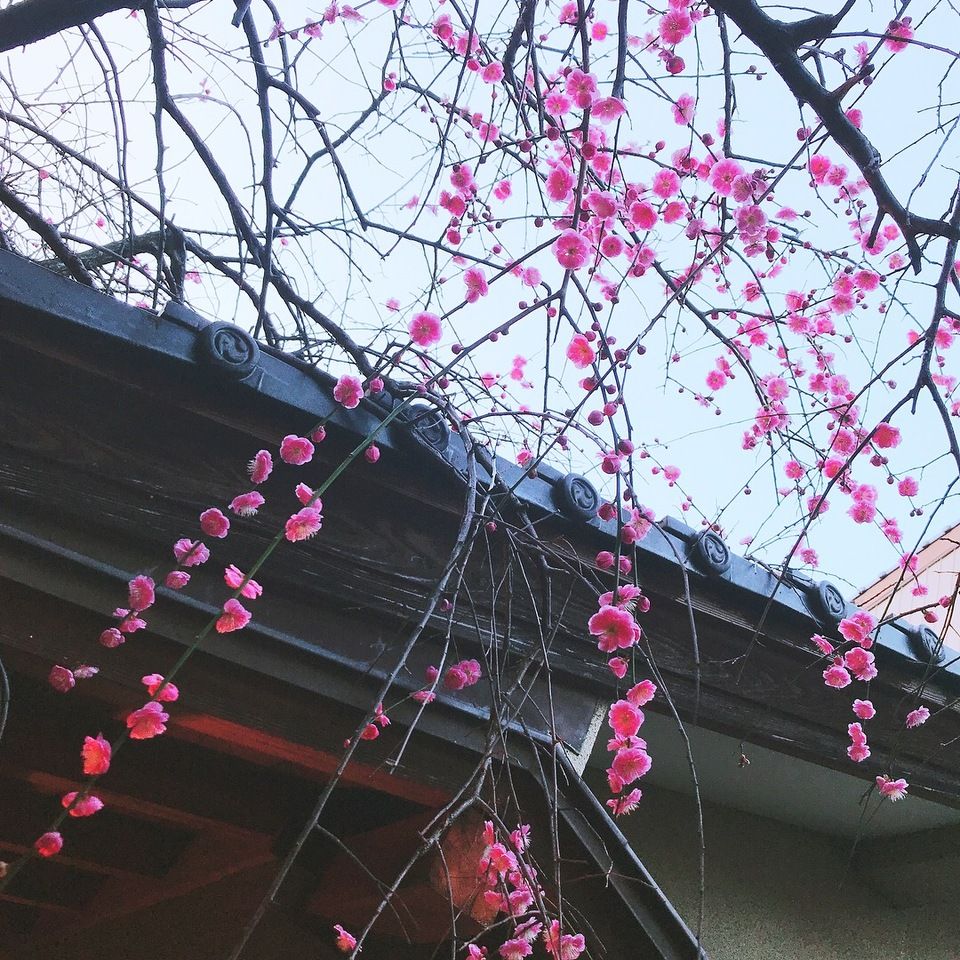肝吸い店内