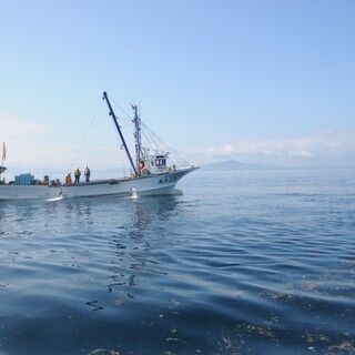 本日の海を知れる20品 鮨と料理のコース