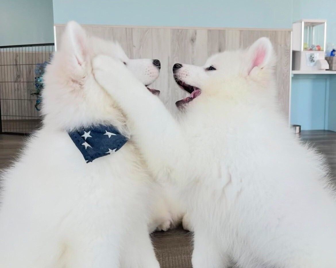  Regular ticket (50 minutes)