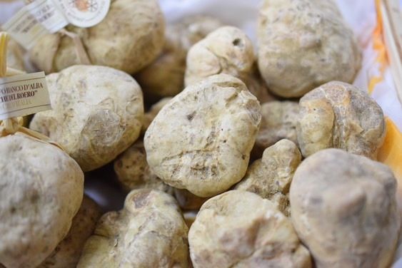 Regalo white truffe Course