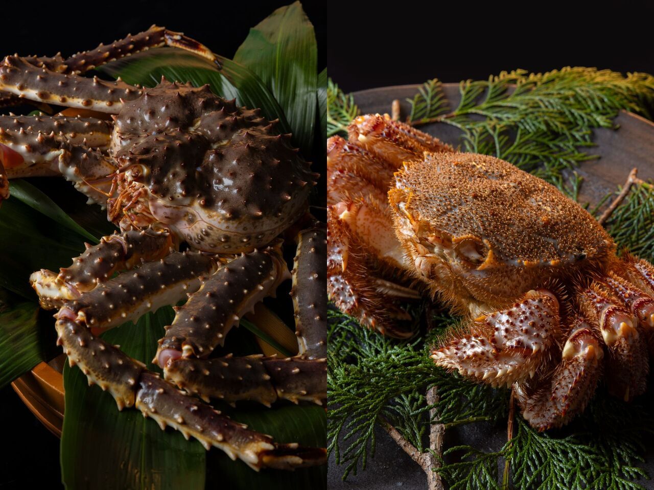 Live hairy crab and live king crab course [up to 3 people] (Price shown is for 1 person)
