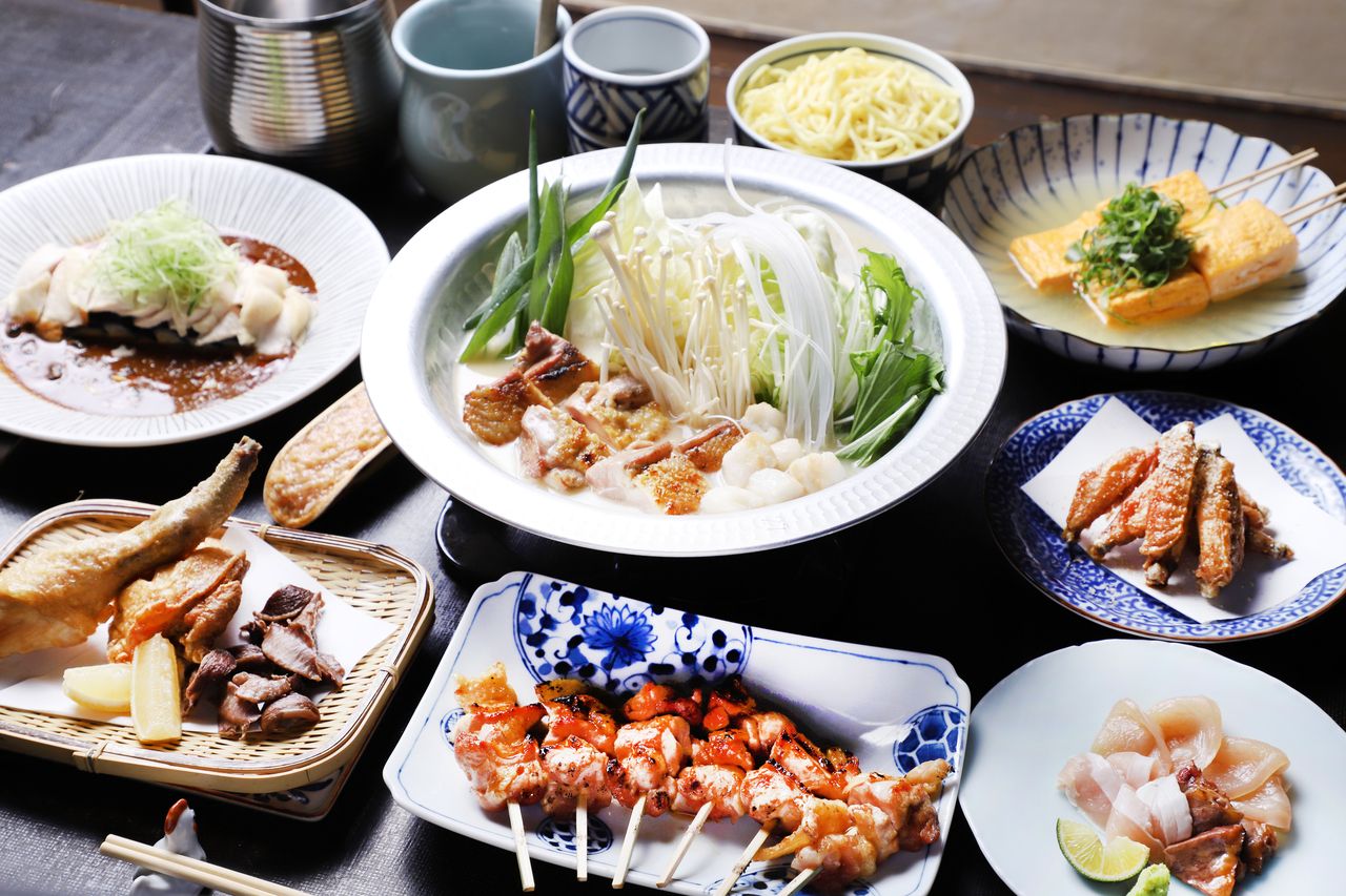 2025 Sakura Festival limited course + all you can drink 2000 yen