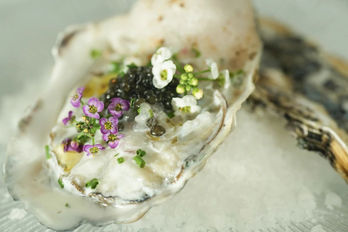 ຫຼັກສູດ Degustation ໂດຍ Chef Shingo Suzuki