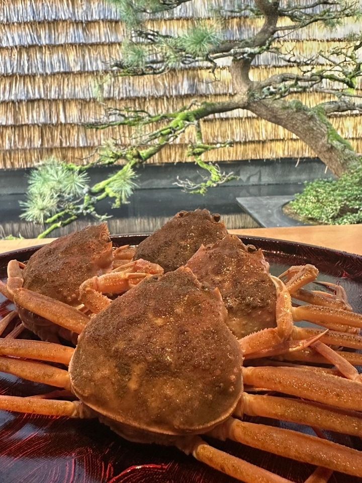 ずわい蟹コース