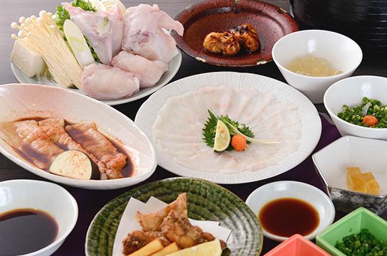 [Domestic Tiger Pufferfish] Ishigaki set