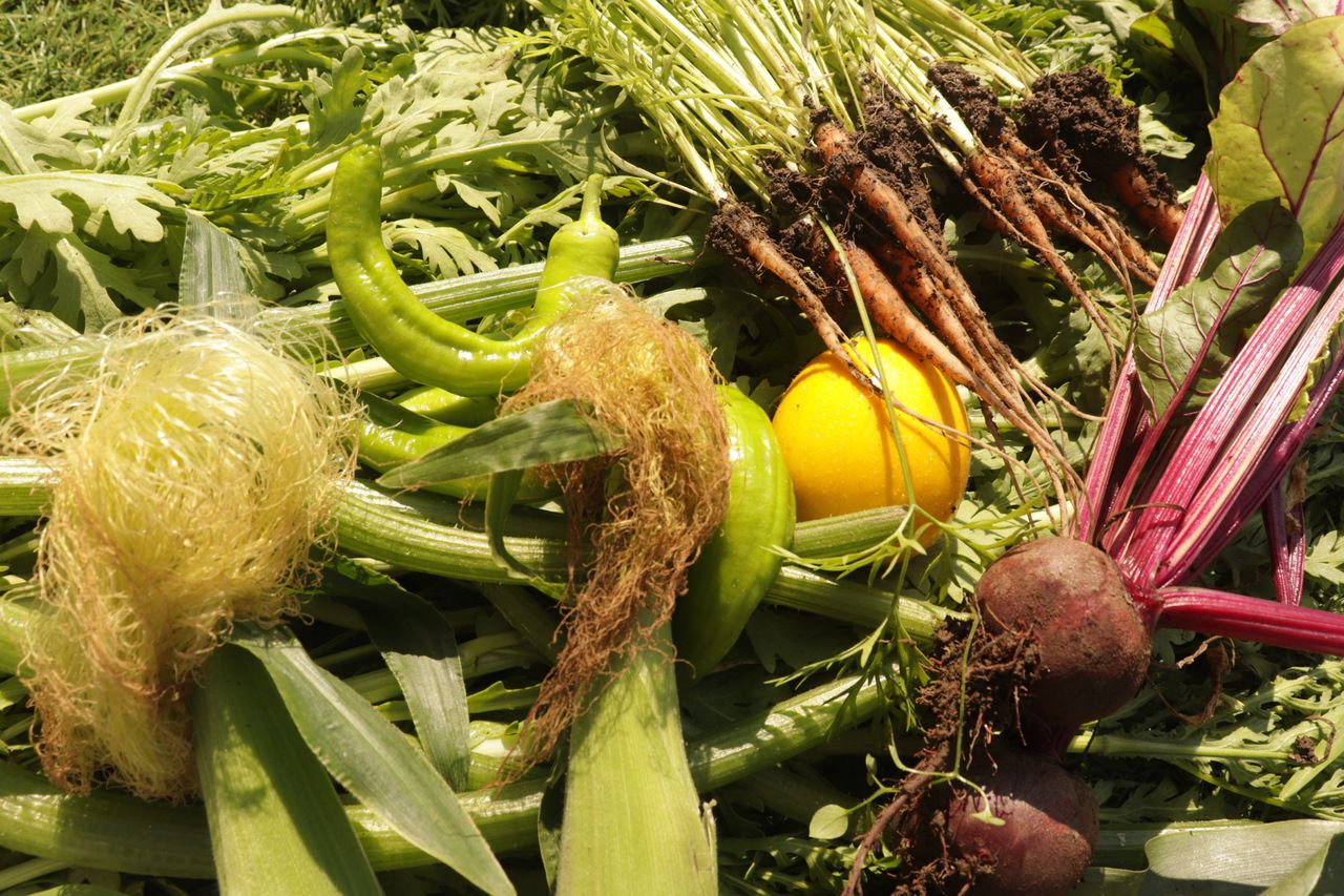 アラカルト【席のみ】