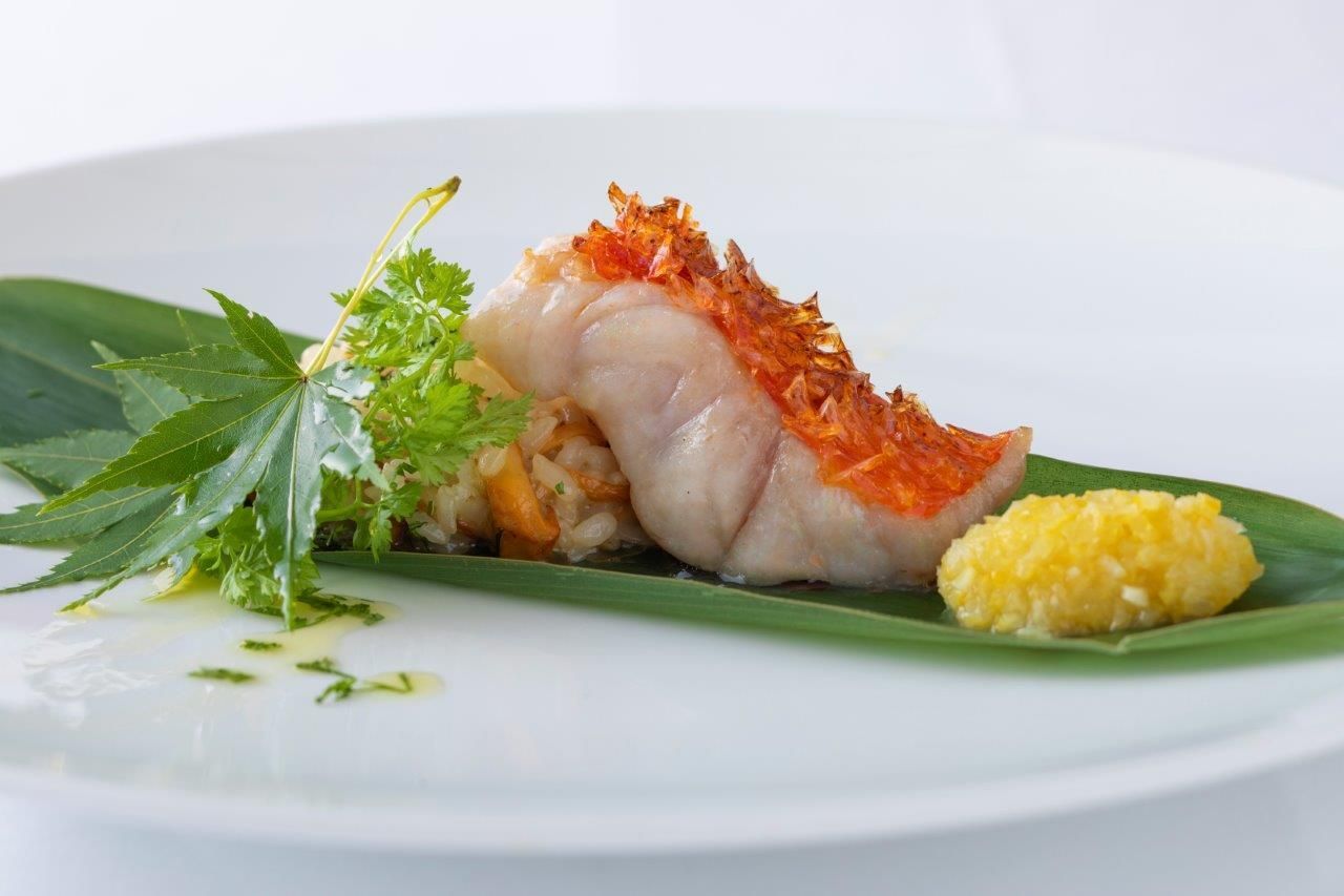 PRANZO A【평일 한정】