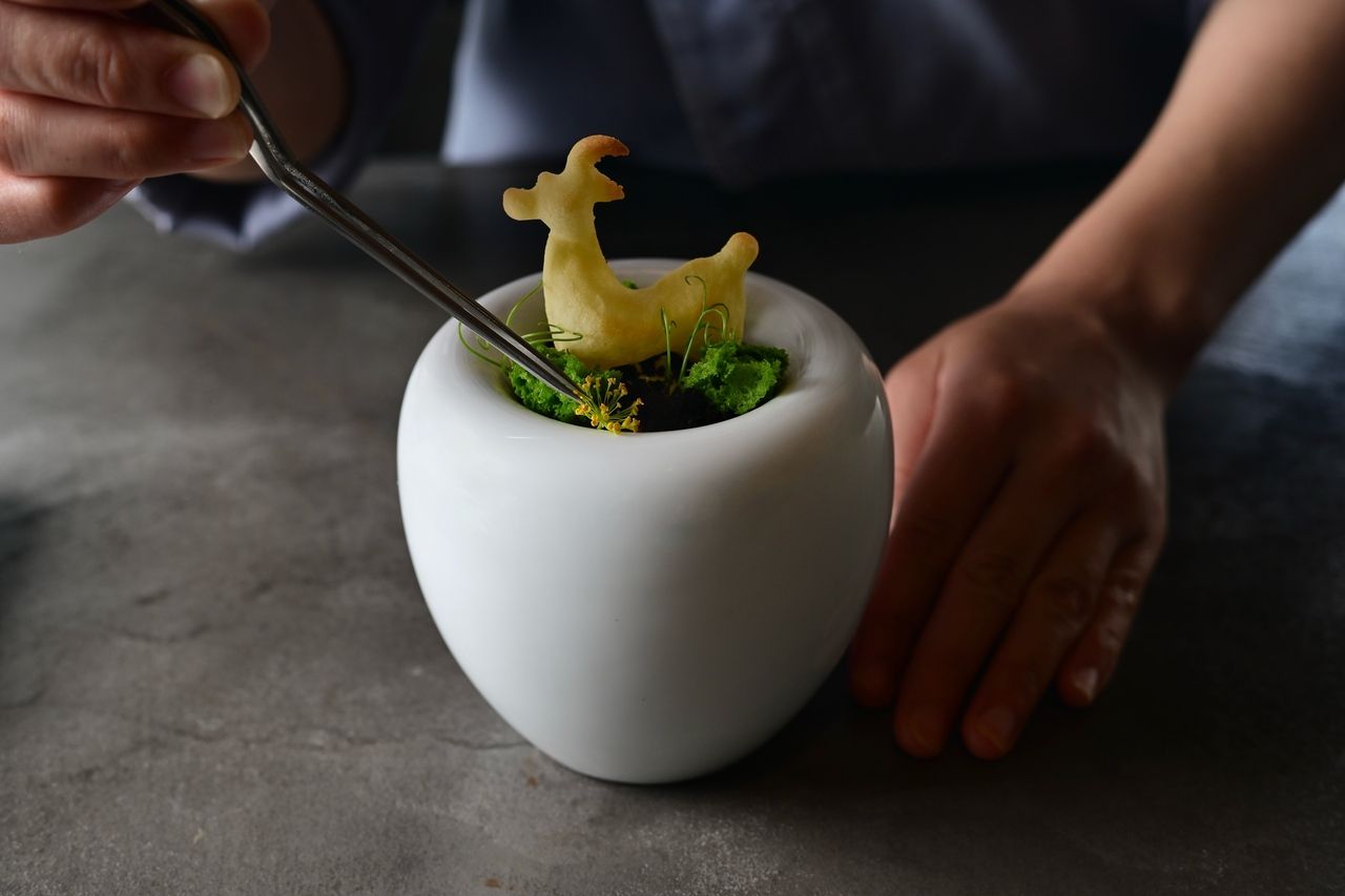 일 · 월 · 불 한정 크리스마스 점심 코스