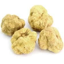 White truffle fragrant Christmas course