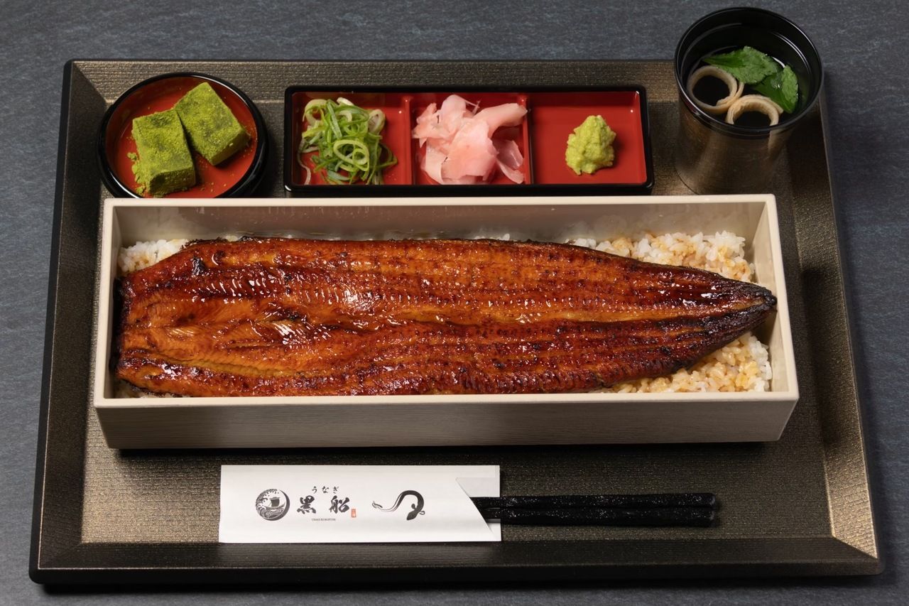 Une anguille entière