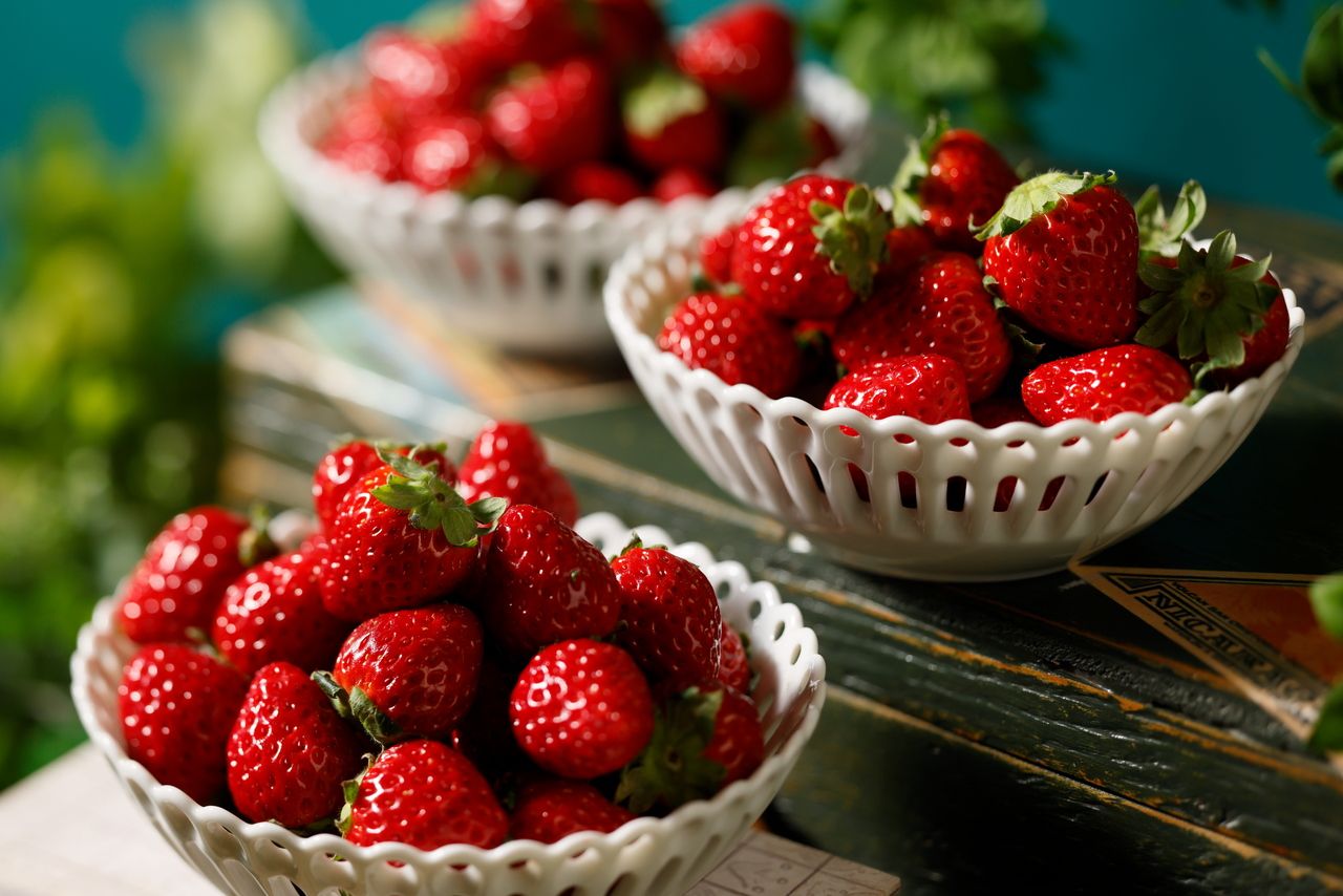 ≪土日祝≫スイーツビュッフェ『苺の森のアトリエ』小人（5歳～小学生）