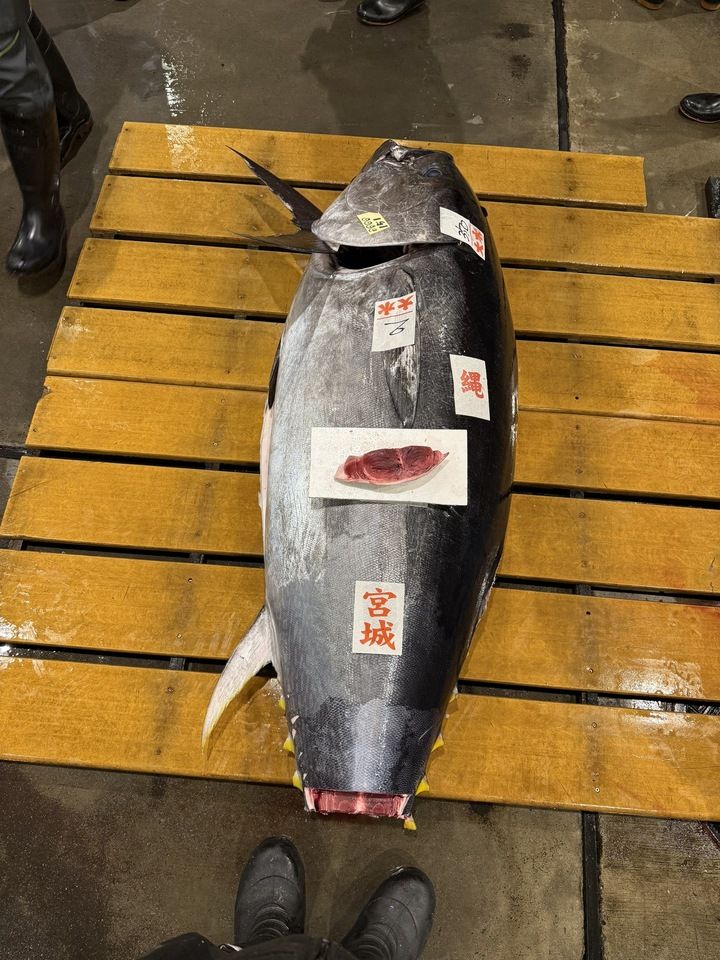 "Value Course A" Enjoy 5 a la carte dishes, our famous tower platter, and 5 pieces of nigiri sushi at your leisure.