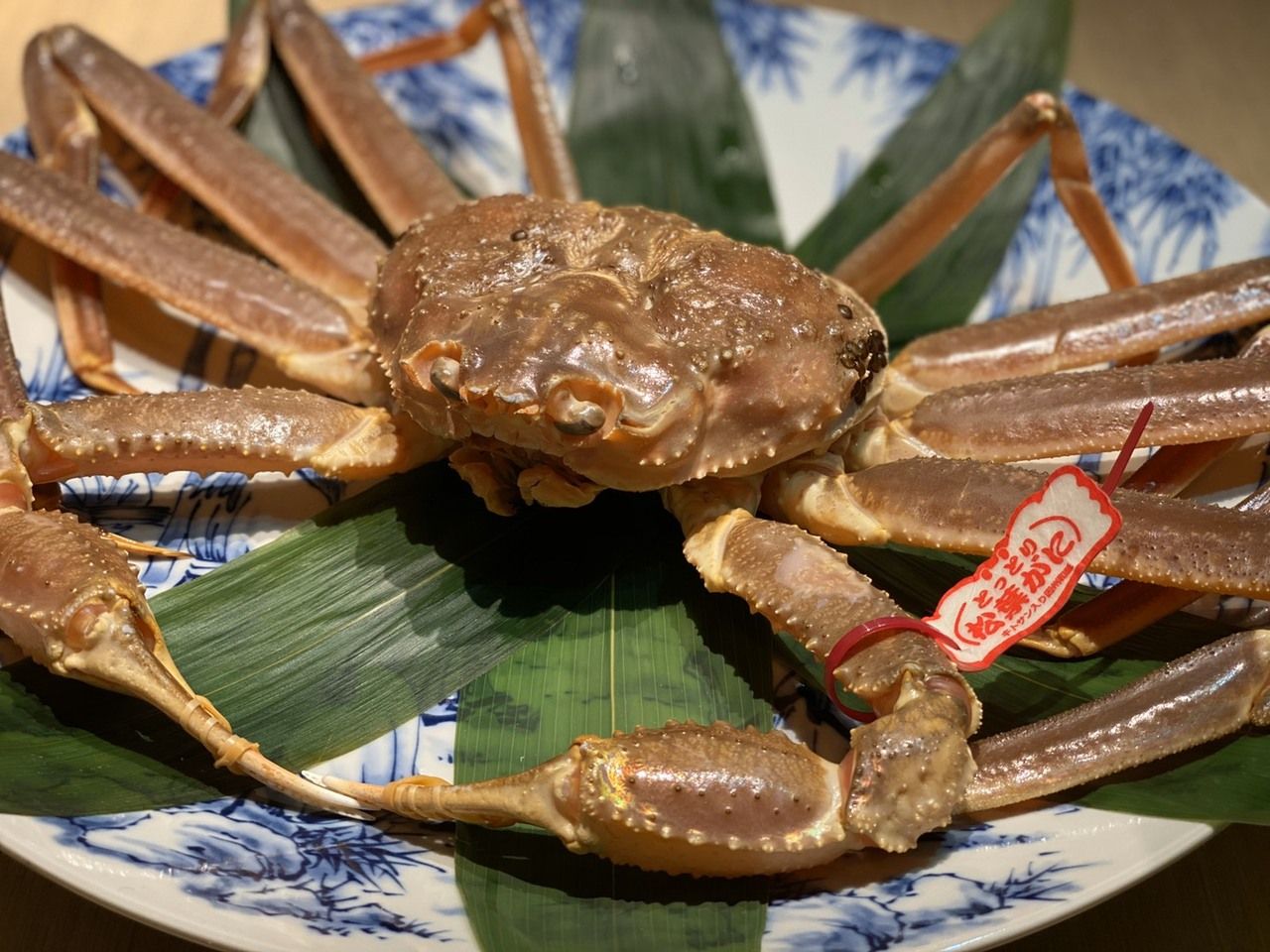 活松葉蟹コース