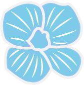 期間限定ディナー！２月のコーヒーエイト ウェロニカで楽しむフランス料理(1日2組愛犬の同伴もOK)