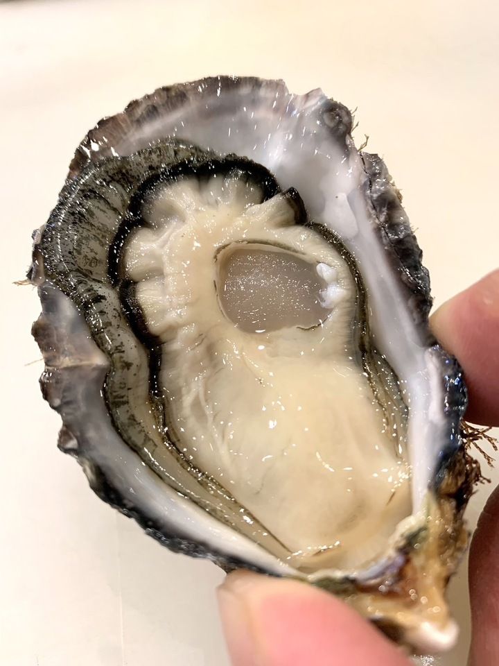 Omakase course (payment on site)