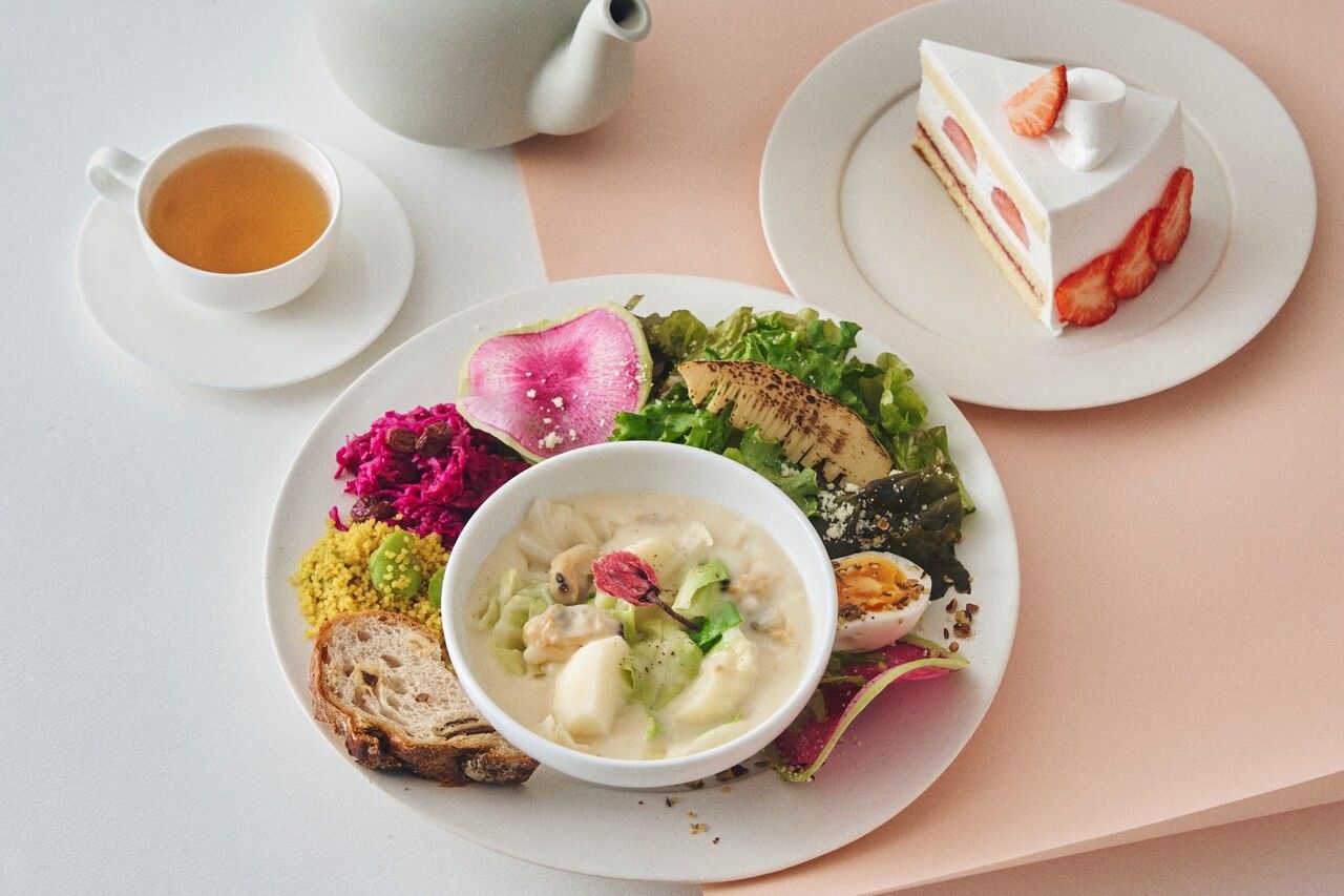 [Special lunch with dessert and drink] Cherry blossom and spring cabbage clam chowder & salad with organic onion dressing