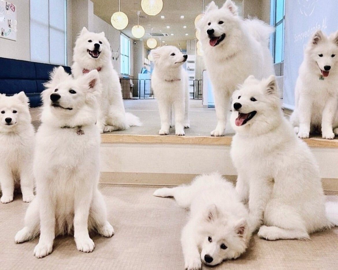 ≪ゴールデンウイーク期間≫通常チケット（50分）