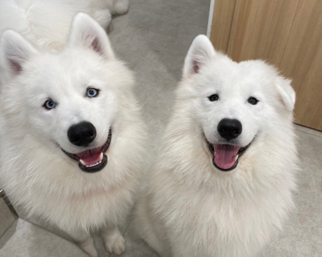 ≪ゴールデンウィーク期間≫通常チケット（50分）