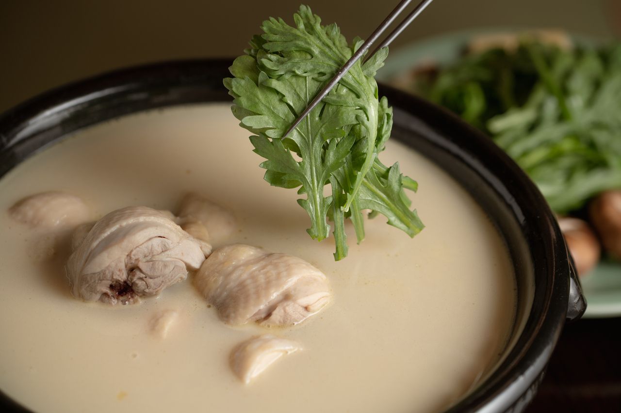 Seasonal Mizutaki Course with Blanched Pike Conger