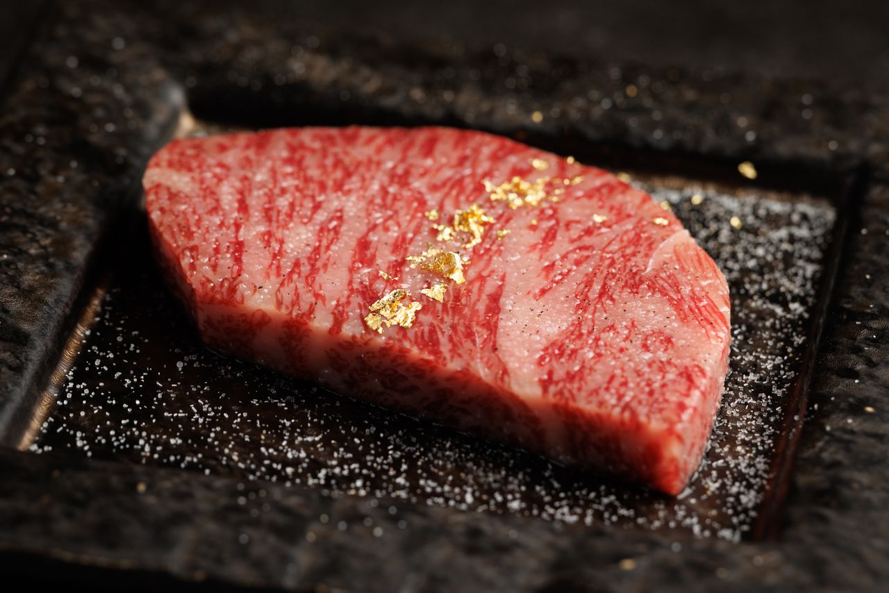 Chef's Choice Premium Course