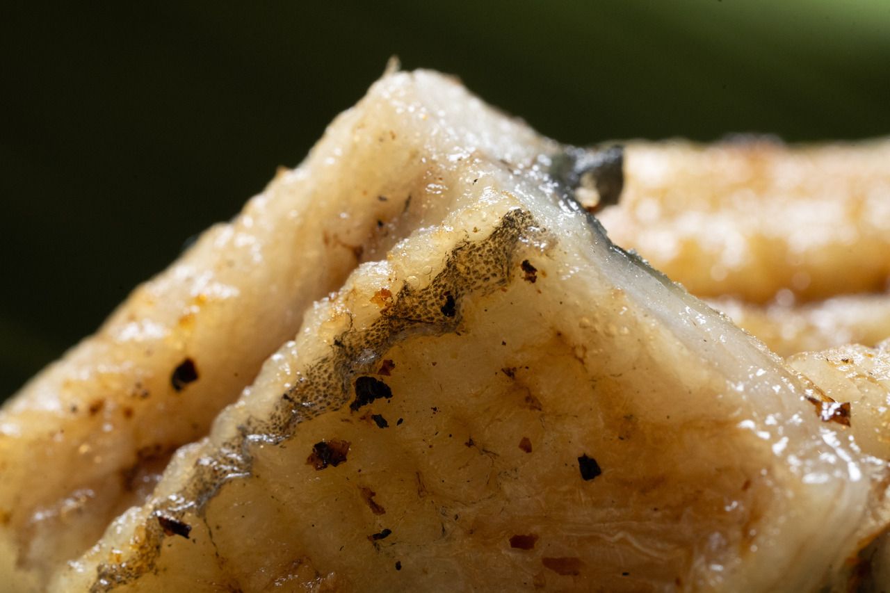 Summer refreshment: Grilled eel and conger eel set with assorted omakase sushi (lunch)
